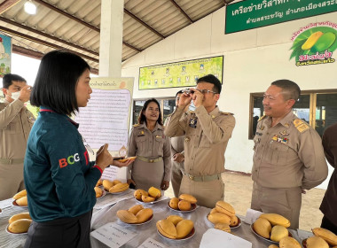 ลงพื้นที่ตรวจสอบลักษณะทางกายภาพผลผลิตมะม่วงน้ำดอกไม้สระแก้ว พารามิเตอร์รูปภาพ 5