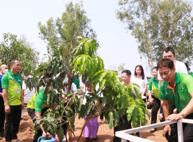 พิธีเปิดงานเทศกาลมะม่วงสระแก้ว พารามิเตอร์รูปภาพ 9