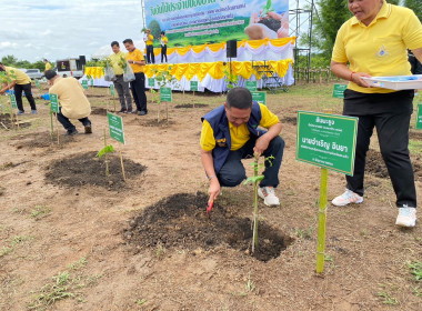 กิจกรรมวันต้นไม้ประจำปีของชาติ พ.ศ. 2566 พารามิเตอร์รูปภาพ 17