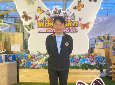 กิจกรรม &quot;Butterfly Night Market&quot; ช่วงเทศกาลดูผีเสื้อปางสีดา ... พารามิเตอร์รูปภาพ 2