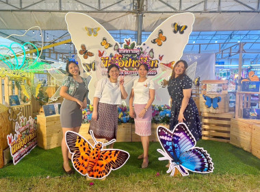 กิจกรรม &quot;Butterfly Night Market&quot; ช่วงเทศกาลดูผีเสื้อปางสีดา ... พารามิเตอร์รูปภาพ 6