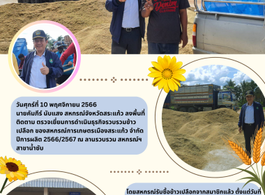 ลงพื้นที่ติดตาม ตรวจเยี่ยมการดำเนินธุรกิจรวบรวมข้าวเปลือก ... พารามิเตอร์รูปภาพ 11