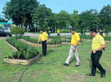 กิจกรรมปลูกต้นดาวเรือง ภายใต้โครงการปลูกปอเทือง ... พารามิเตอร์รูปภาพ 2