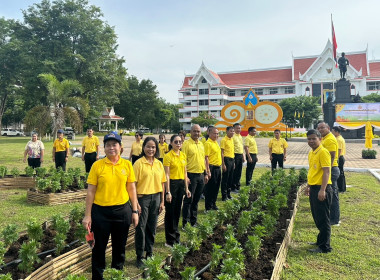 กิจกรรมปลูกต้นดาวเรือง ภายใต้โครงการปลูกปอเทือง ... พารามิเตอร์รูปภาพ 3