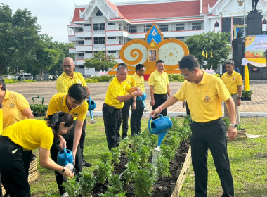 กิจกรรมปลูกต้นดาวเรือง ภายใต้โครงการปลูกปอเทือง ... พารามิเตอร์รูปภาพ 4