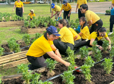 กิจกรรมปลูกต้นดาวเรือง ภายใต้โครงการปลูกปอเทือง ... พารามิเตอร์รูปภาพ 6
