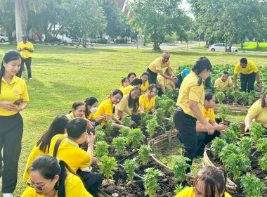 กิจกรรมปลูกต้นดาวเรือง ภายใต้โครงการปลูกปอเทือง ... พารามิเตอร์รูปภาพ 8
