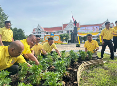 กิจกรรมปลูกต้นดาวเรือง ภายใต้โครงการปลูกปอเทือง ... พารามิเตอร์รูปภาพ 7