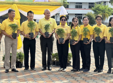 กิจกรรมปลูกต้นดาวเรือง ภายใต้โครงการปลูกปอเทือง ... พารามิเตอร์รูปภาพ 1