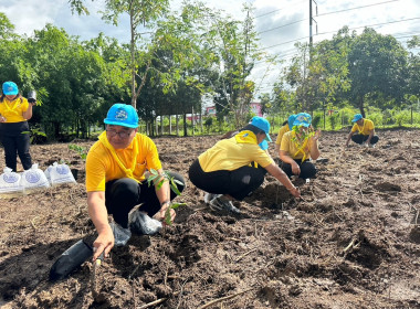 โครงการสหกรณ์อาสาทำความดีด้วยหัวใจเฉลิมพระเกียรติ ... พารามิเตอร์รูปภาพ 4