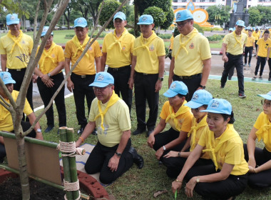 เข้าร่วมกิจกรรมจิตอาสาเนื่องในโอกาสมหามงคลเฉลิมพระชนมพรรษา ... พารามิเตอร์รูปภาพ 6
