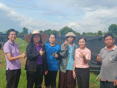 สหกรณ์จังหวัดสระแก้ว เข้าตรวจเยี่ยมกลุ่มเกษตรกรทำไร่ตาหลังใน พารามิเตอร์รูปภาพ 1