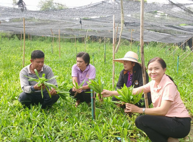 สหกรณ์จังหวัดสระแก้ว เข้าตรวจเยี่ยมกลุ่มเกษตรกรทำไร่ตาหลังใน พารามิเตอร์รูปภาพ 1