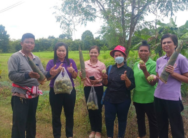 สหกรณ์จังหวัดสระแก้ว เข้าตรวจเยี่ยมกลุ่มเกษตรกรทำไร่ตาหลังใน พารามิเตอร์รูปภาพ 3