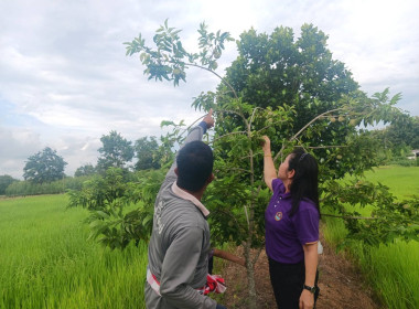 สหกรณ์จังหวัดสระแก้ว เข้าตรวจเยี่ยมกลุ่มเกษตรกรทำไร่ตาหลังใน พารามิเตอร์รูปภาพ 5