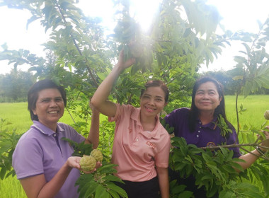 สหกรณ์จังหวัดสระแก้ว เข้าตรวจเยี่ยมกลุ่มเกษตรกรทำไร่ตาหลังใน พารามิเตอร์รูปภาพ 7