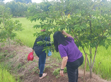 สหกรณ์จังหวัดสระแก้ว เข้าตรวจเยี่ยมกลุ่มเกษตรกรทำไร่ตาหลังใน พารามิเตอร์รูปภาพ 8