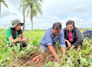 ลงพื้นที่เพื่อติดตามการใช้เงินกู้กองทุนสงเคราะห์เกษตรกร ... พารามิเตอร์รูปภาพ 4