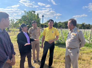 ประชุมคณะทำงานส่งเสริมพัฒนาอาชีพและการตลาด ครั้งที่ 1 ... พารามิเตอร์รูปภาพ 10